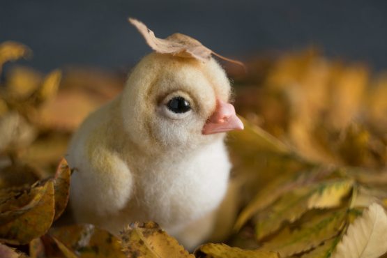 Uzatuvchilar bilan jinsiy aloqa Yalangoch Shaak Ti fotosurati