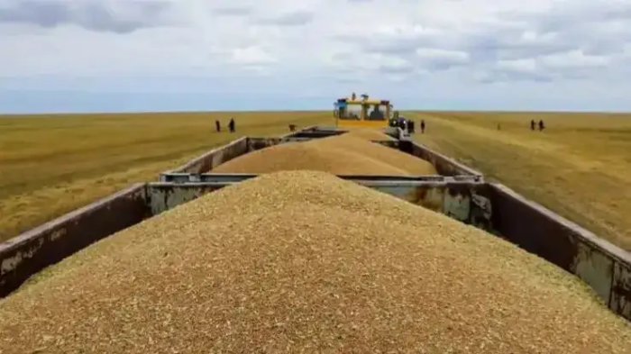 Қозоғистонга хориждан буғдой олиб келиш тақиқланади
