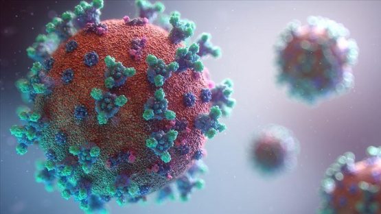 JSST koronavirusning yangi shtammlari bilan qayta zararlanish haqida ma’lum qildi
