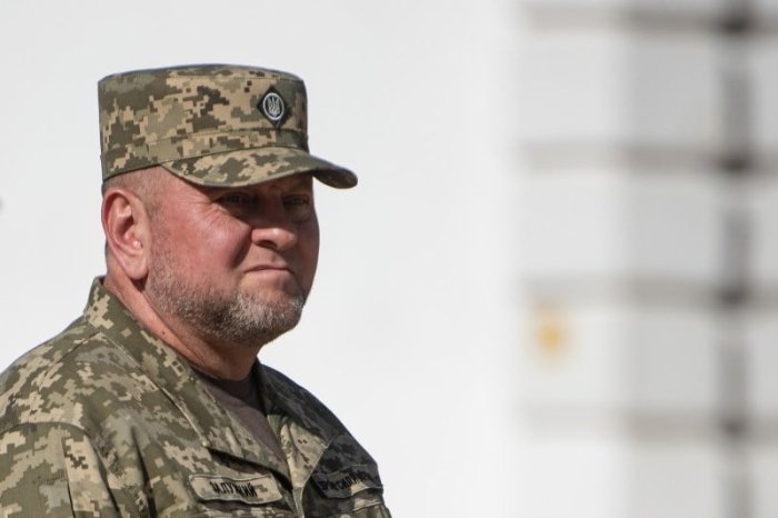 Zelenskiy Valeriy Zalujniyga "Ukraina Qahramoni" unvonini berdi Zelenskiy Valeriy Zalujniyga "Ukraina Qahramoni" unvonini berdi