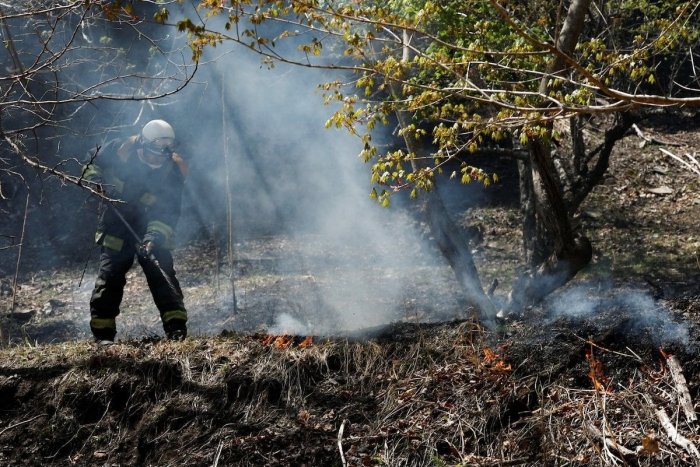 Япония шимолидаги ўрмон ёнғинлари давом этмоқда