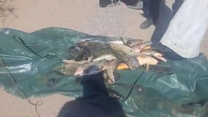 Навоийда ноқонуний балиқ овлаганлар қарийб 700 млн жарима тўлади