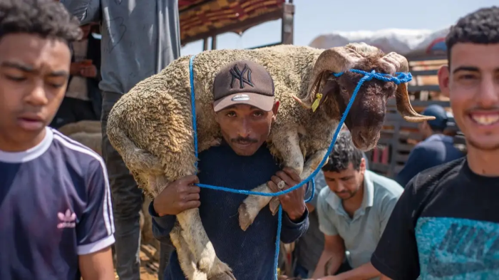 Qurbon hayiti kuni qo‘y so‘yishni to‘xtatishga chaqirdi