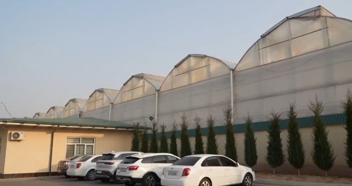 Toshkentda issiqxonalarga cheklov joriy etiladi