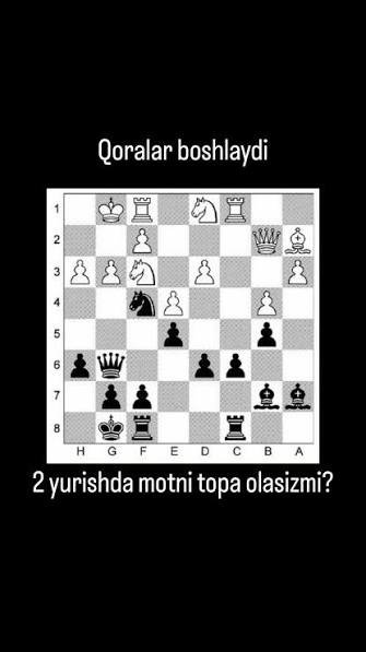 Qashqadaryoda shaxmatning yangi turi yaratildi