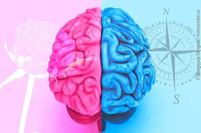 Эркаклар мияси аёлларникига қараганда тезроқ қарийди