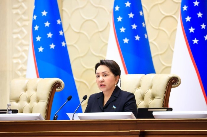 Сенат 2026 йилги давлат бюджетини маъқуллади