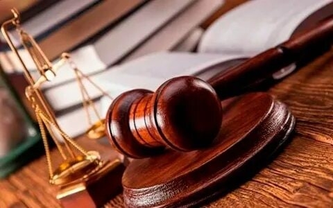 Havaskor nam mushuk suratlari