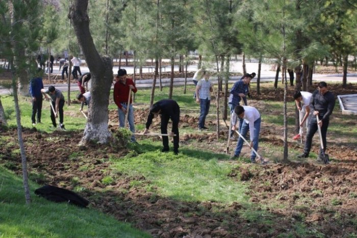 Navro‘z bayrami arafasida respublikaning barcha hududlarida umumxalq hasharlari o‘tkaziladi 