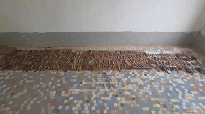Qashqadaryoda Qizil kitobga kiritilgan baliqlarni ovlagan fuqaro 12,7 mlrd so‘m jarimaga tortildi