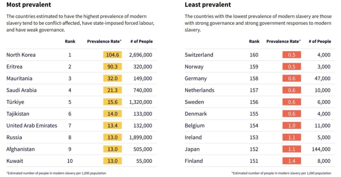Katta eshak katta sik