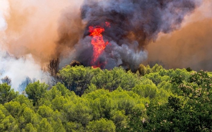 Испанияда ҳам ўрмон ёнғинлари бошланди