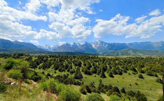 Дам олиш кунлари ҳаво бироз булутли бўлиши кутилмоқда