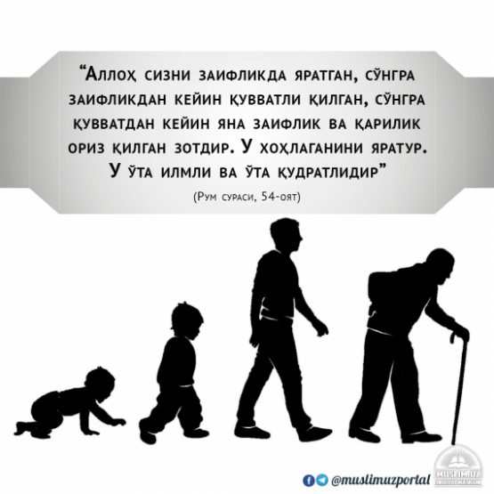 Инсон ҳаётининг барча босқичлари бир оятда мужассам Инсон ҳаётининг барча босқичлари бир оятда мужассам