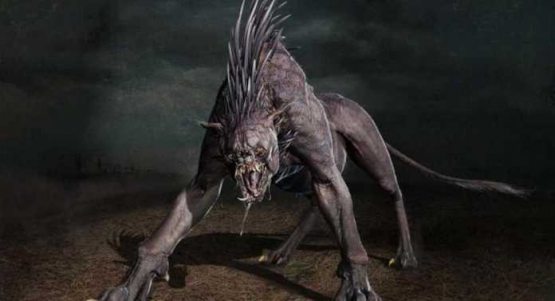 Afsonaviy jonivor, hayvonlar vampiri Chupakabra endi odam qonini ichishga bel boylabdi…