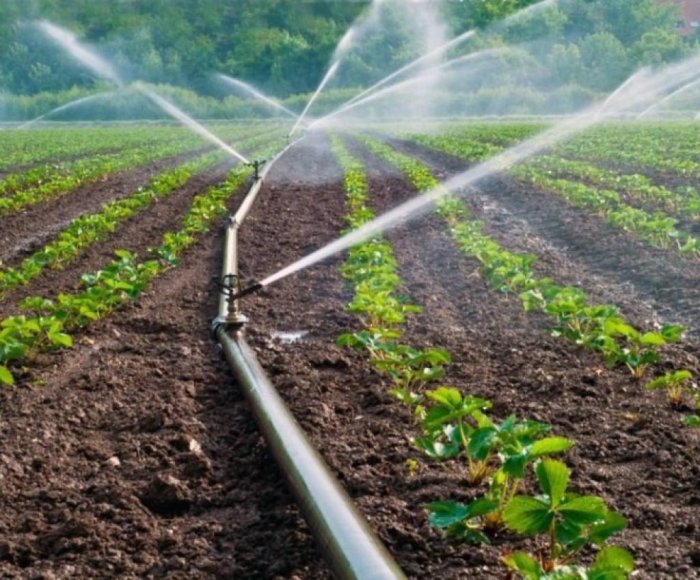 Сув тежовчи технологияларни жорий қилиш тизимини такомиллаштирилади