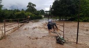 Мозамбикда сел олиб кетган сиёсатчини қидиришга Жанубий Африка жамоаси жалб этилди