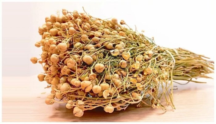 Rossiyaga isiriq olib borgan tojikistonlik ayol 8 yilga qamaldi