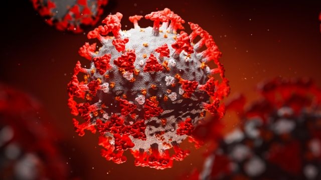 Koronavirus: kecha 23 may yurtimizda faqat Toshkent shahrida 5 nafar kishida kasallik aniqlandi