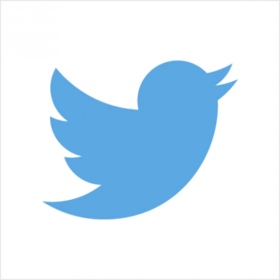 «Twitter»dagi ilk tvit sotuvda — hozircha million dollar
