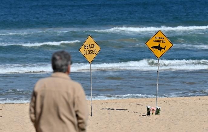 Sidney shimolidagi barcha plyajlar akula hujumlaridan keyin yopildi