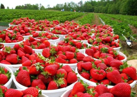 Eski Yugoslaviya erotik filmlarini tomosha qiling