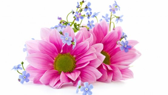 Virtual porno onlayn video Aprel ONilning jinsiy rasmlari