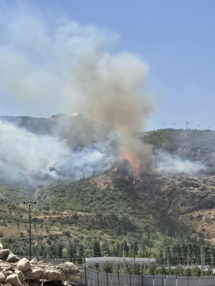 Bo‘stonliqda o‘rmon yong‘ini kuzatilmoqda