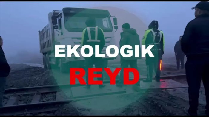 Samarqandda tabiatga 422 milliard so‘mdan ortiq zarar yetkazildi