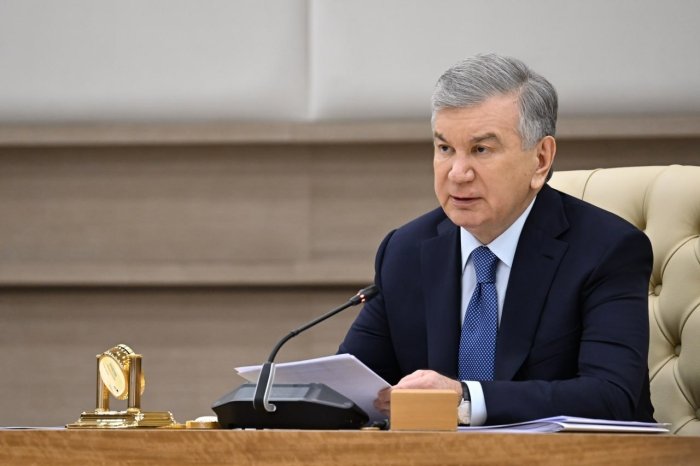 Prezident Sergelidagi ko‘prik muammosiga to‘xtaldi​​​​​​​