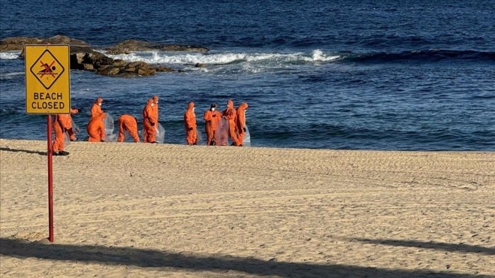 Сиднейда акулалар икки болага ҳужум қилди