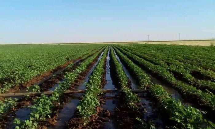 Er munosabatlari qayta ko‘rib chiqiladi