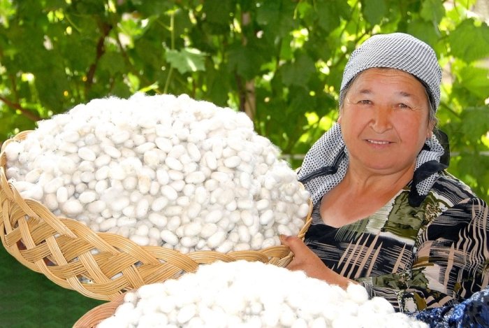 Пилла етиштирувчиларга субсидия ажратилади​​​​​​​