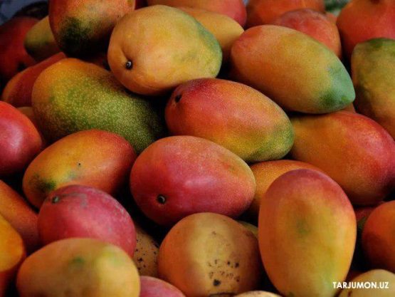 Бу қизиқ: Дубай аэропортида 2 дона манго ўғирлаган ишчи судга тортилди