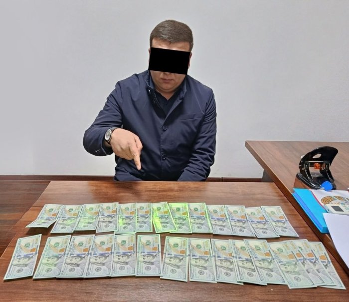 Chet elga ish yuborish bilan bog‘liq noqonuniy holatlar aniqlandi