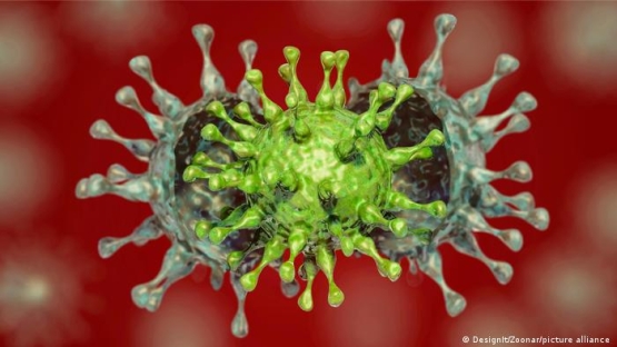 Yaponiyada koronavirusning yangi mutasiyasi aniqlandi