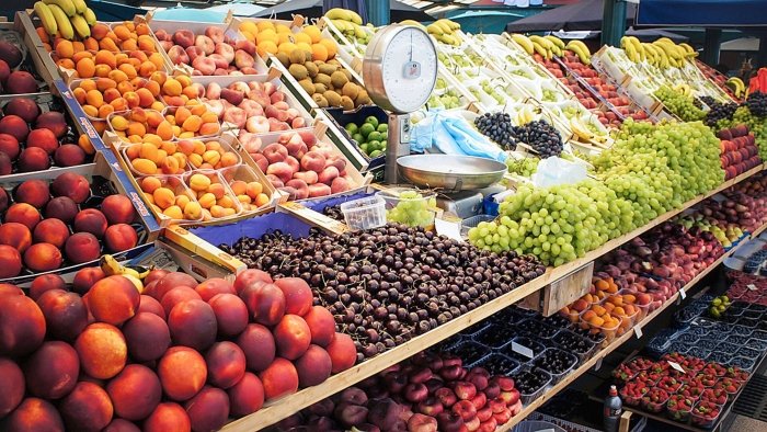Тожикистон жаҳон мева бозоридаги ўз мавқеини йўқотиши мумкин — EastFruit