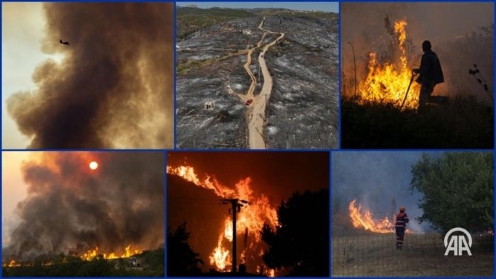Европа ёнмоқда: Аномал иссиқлик ва ўрмон ёнғинлари туфайли фавқулодда ҳолатлар сақланмоқда