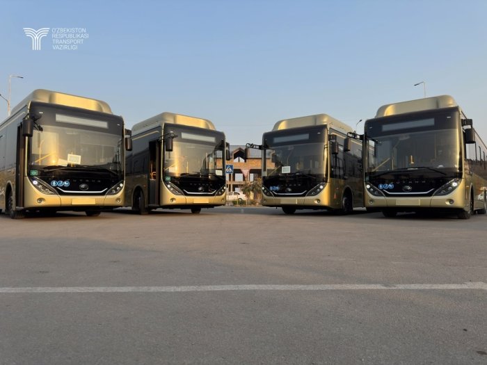 Гулистонга 52 та янги автобус олиб келинди
