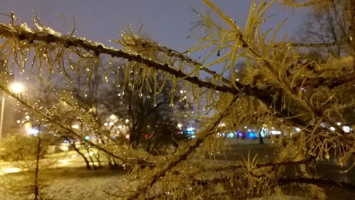 9 декабрь куни Ўзбекистонда ҳарорат пасаяди, айрим жойларда қор ёғади
