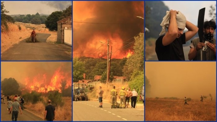 Испанияда 50 дан ортиқ ҳудудда ўрмон ёнғинлари авж олди