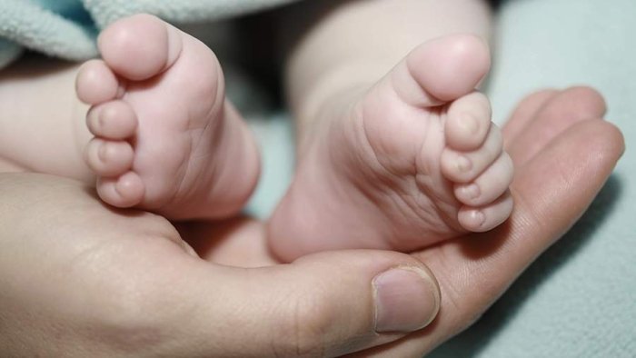 30 йил давомида музлатиб қўйилган эмбрион энди туғилди