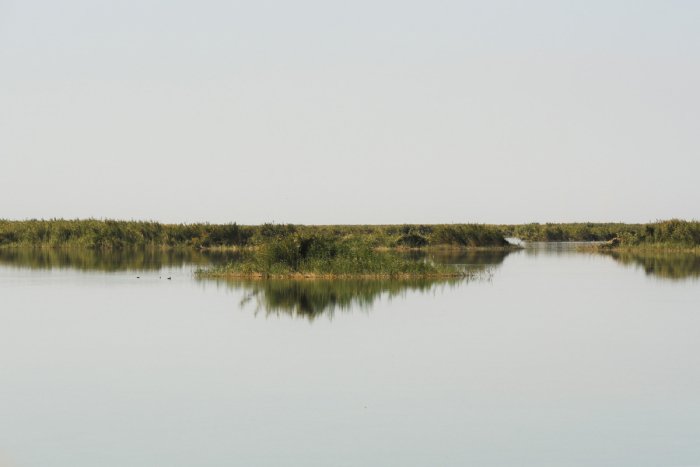 Qoraqalpog‘istondagi Jiltirbas ko‘li Ramsar ro‘yxatiga kiritildi