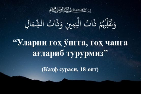 Uxlayotganingizni tashqaridan kuzatganmisiz?!