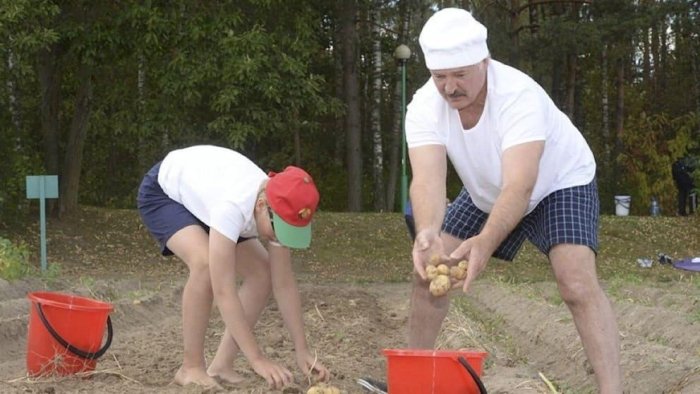 Rossiyada kartoshka yetishmayapti: Hatto Lukashenko ham endi yordam bera olmaydi