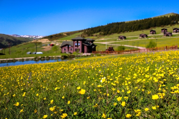 Туркиянинг Қораденгиз минтақаси табиат қўйнида унутилмас саргузаштлар тақдим этади