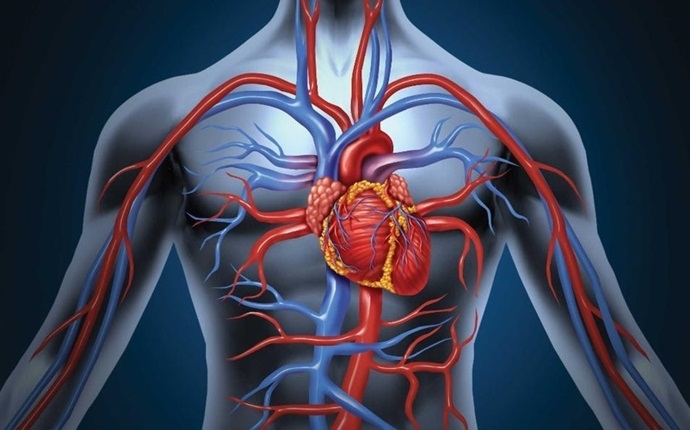 ССВ: Ўзбекистонда юрак-қон томир касалликларидан ўлим кўрсаткичи 56,2 фоизга камайди
