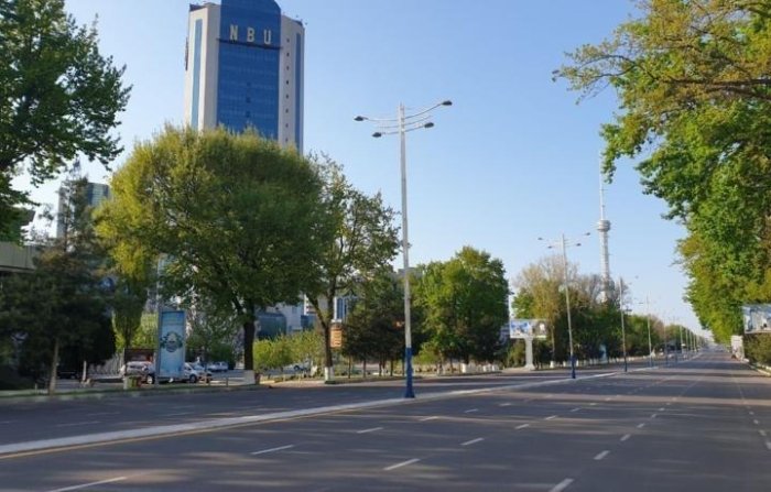 O‘zbekistonda “Avtomobilsiz kun” va “Avtomobilsiz hafta” aksiyalari o‘tkaziladi 