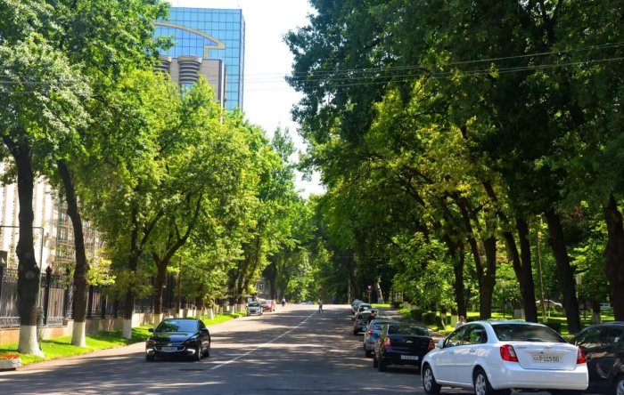 Ва ниҳоят! Бугундан ҳаво салқинлашади