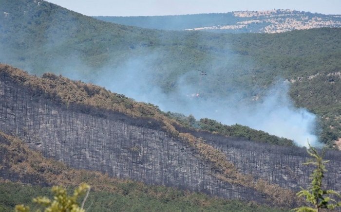 Turkiyadagi o‘rmon yong‘inini o‘chirish vaqtida 10 kishi halok bo‘ldi